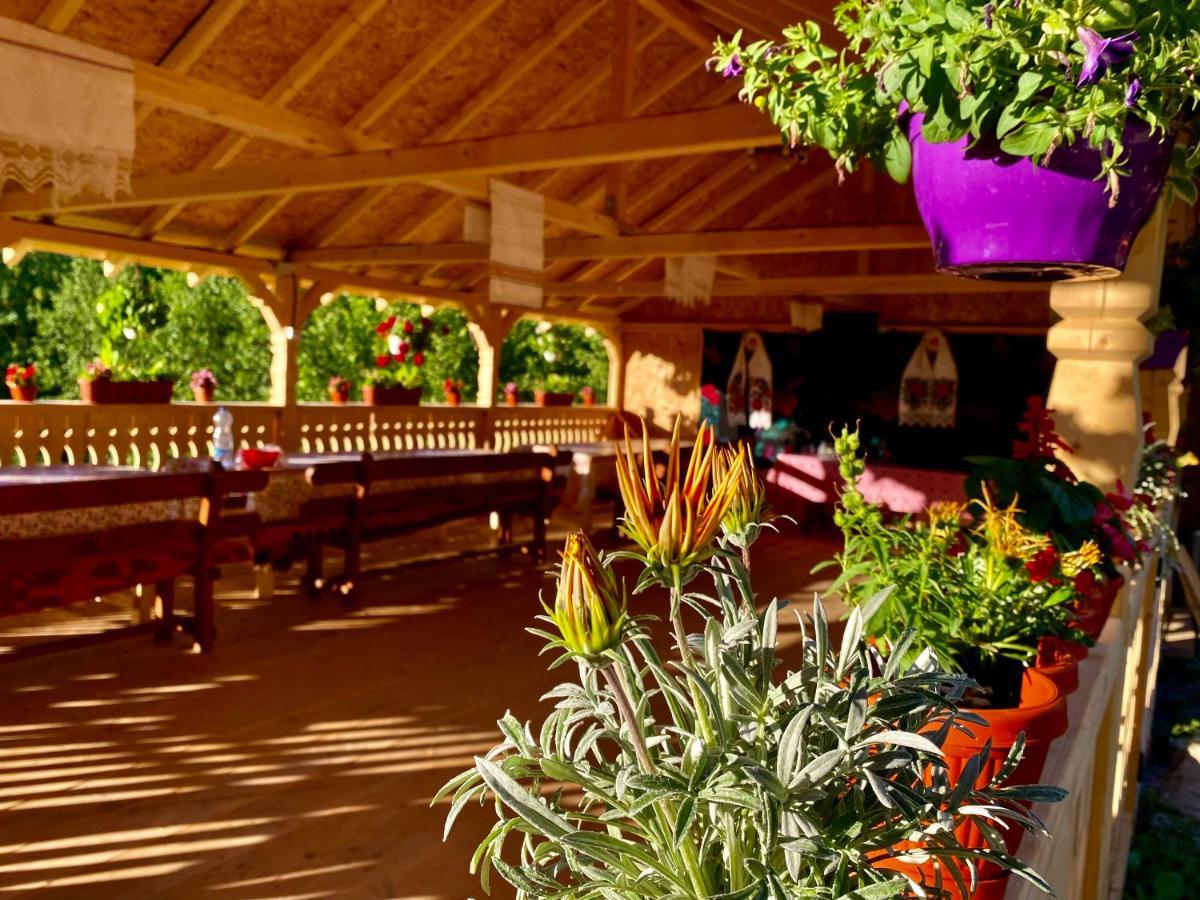 Floare De Maramures 2 Máramarossziget Kültér fotó