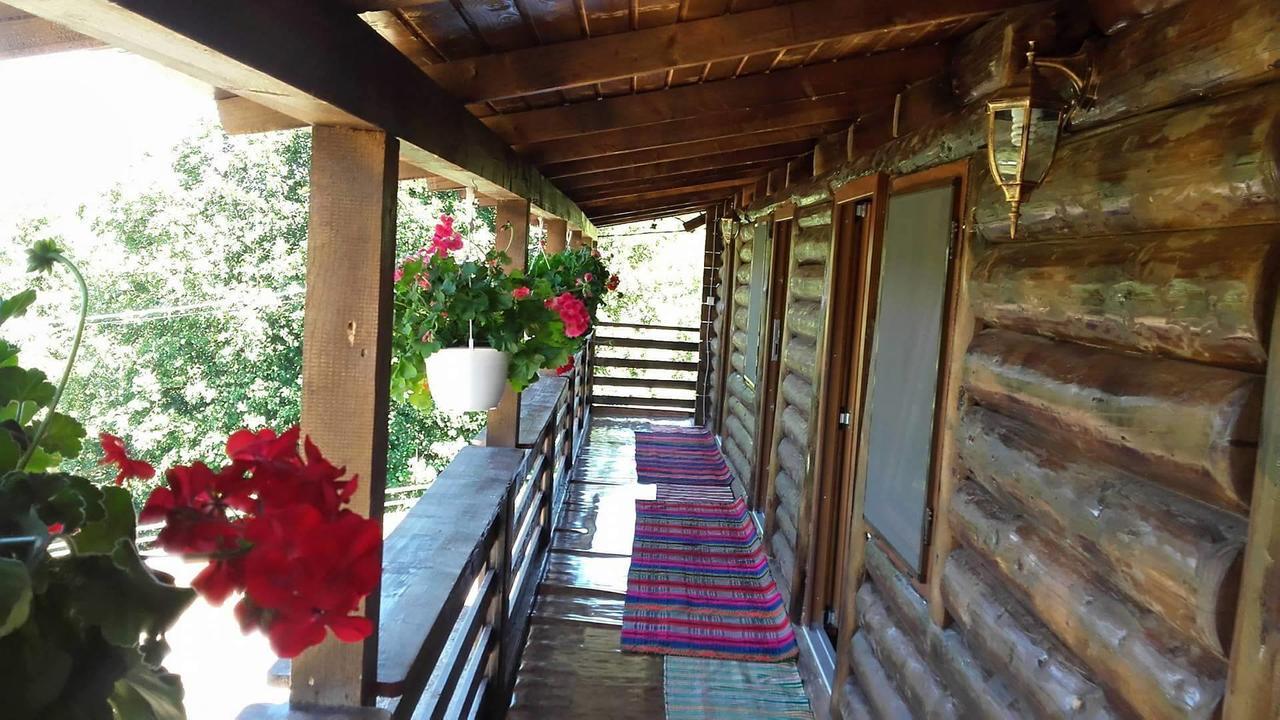 Floare De Maramures 2 Máramarossziget Kültér fotó