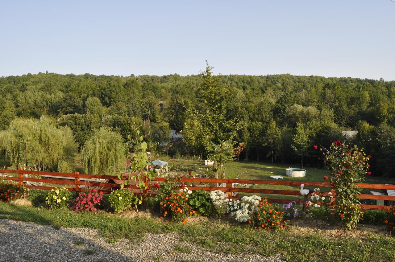 Floare De Maramures 2 Máramarossziget Kültér fotó