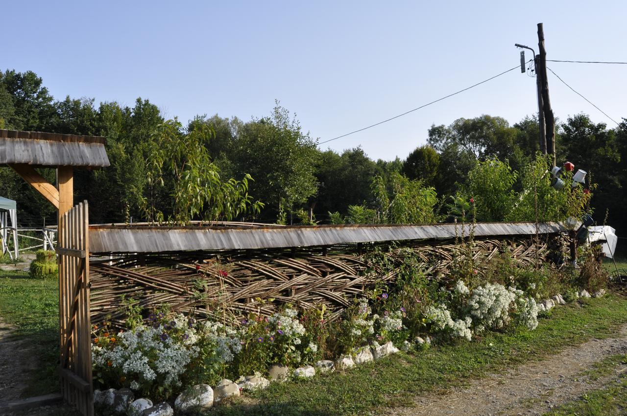 Floare De Maramures 2 Máramarossziget Kültér fotó