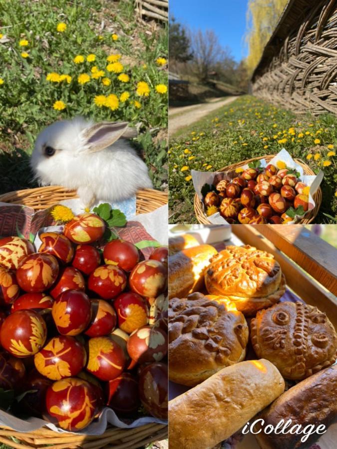 Floare De Maramures 2 Máramarossziget Kültér fotó